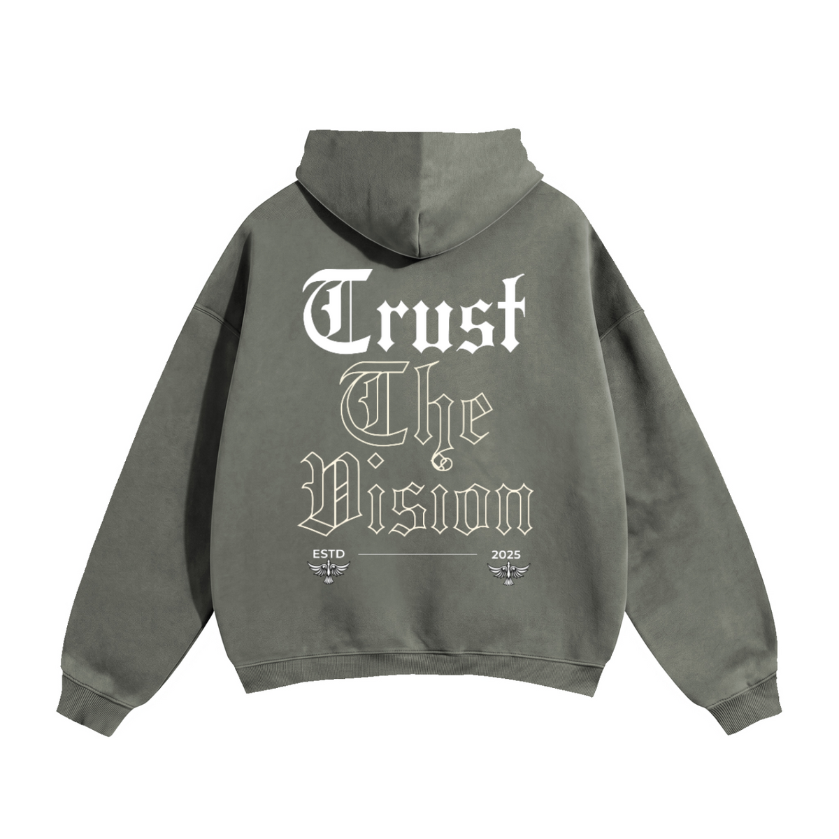 Trust the vision hoodie