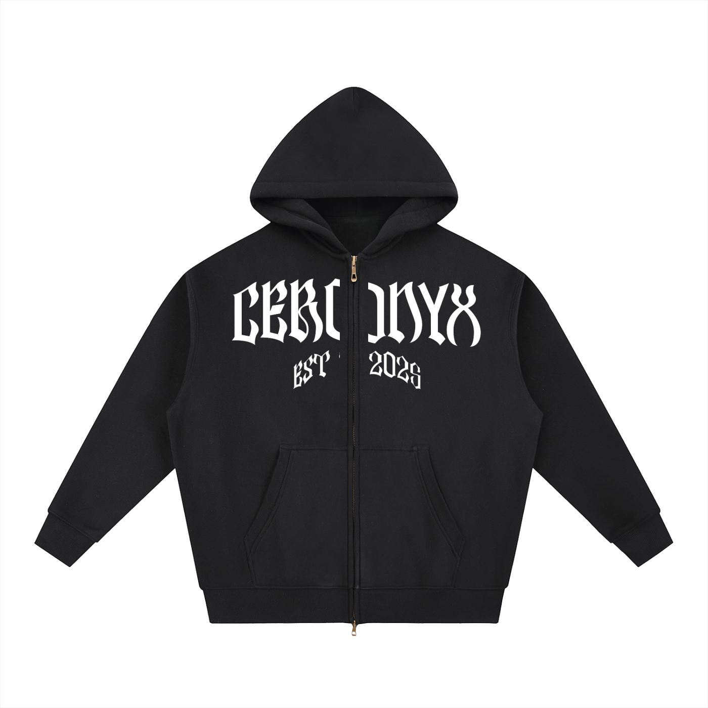 Vision zip up hoodie
